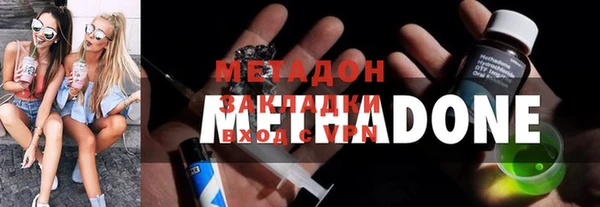 индика Алексин