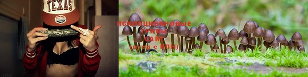 не бодяженный Алзамай