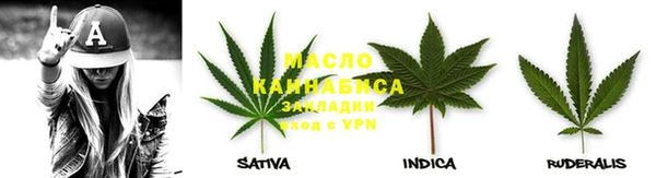 индика Алексин