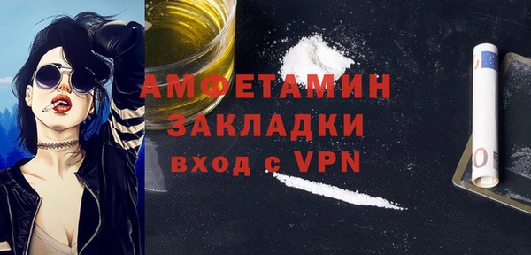 индика Алексин