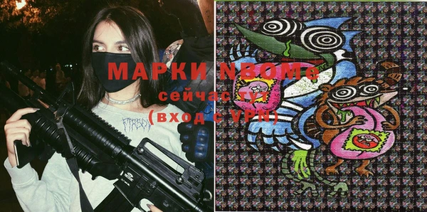 индика Алексин