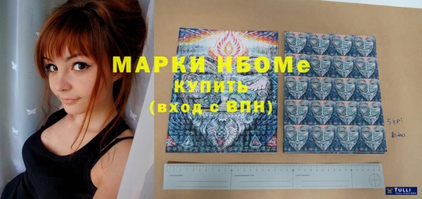 индика Алексин
