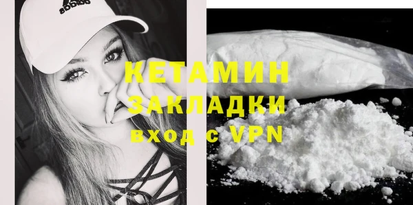индика Алексин